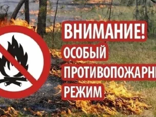 На территории Нижегородской области введен особый противопожарный режим